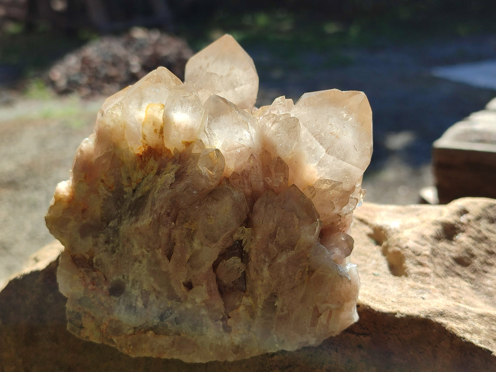 Natural White Phantom Cascading Quartz Clusters x 2 From Luena, Congo - Toprock Gemstones and Minerals 