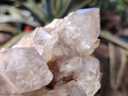 Natural White Phantom Cascading Quartz Clusters x 2 From Luena, Congo - Toprock Gemstones and Minerals 
