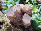 Natural White Phantom Cascading Quartz Clusters x 2 From Luena, Congo - Toprock Gemstones and Minerals 
