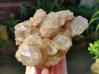 Natural White Phantom Cascading Quartz Clusters x 2 From Luena, Congo - Toprock Gemstones and Minerals 