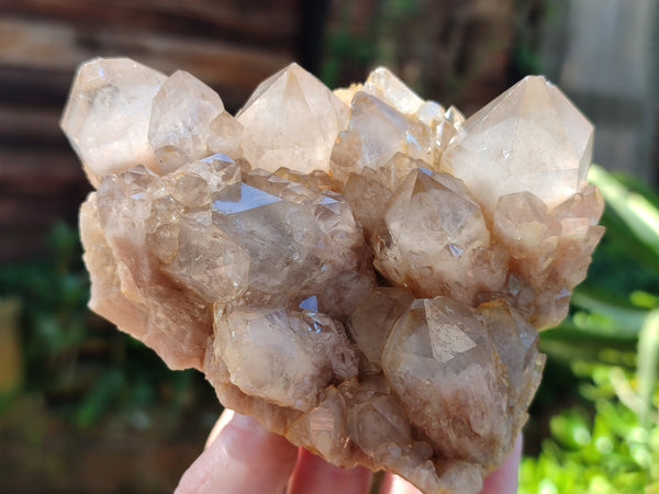 Natural White Phantom Cascading Quartz Clusters x 2 From Luena, Congo