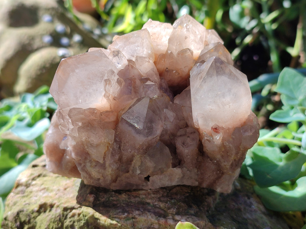 Natural White Phantom Cascading Quartz Clusters x 2 From Luena, Congo - Toprock Gemstones and Minerals 
