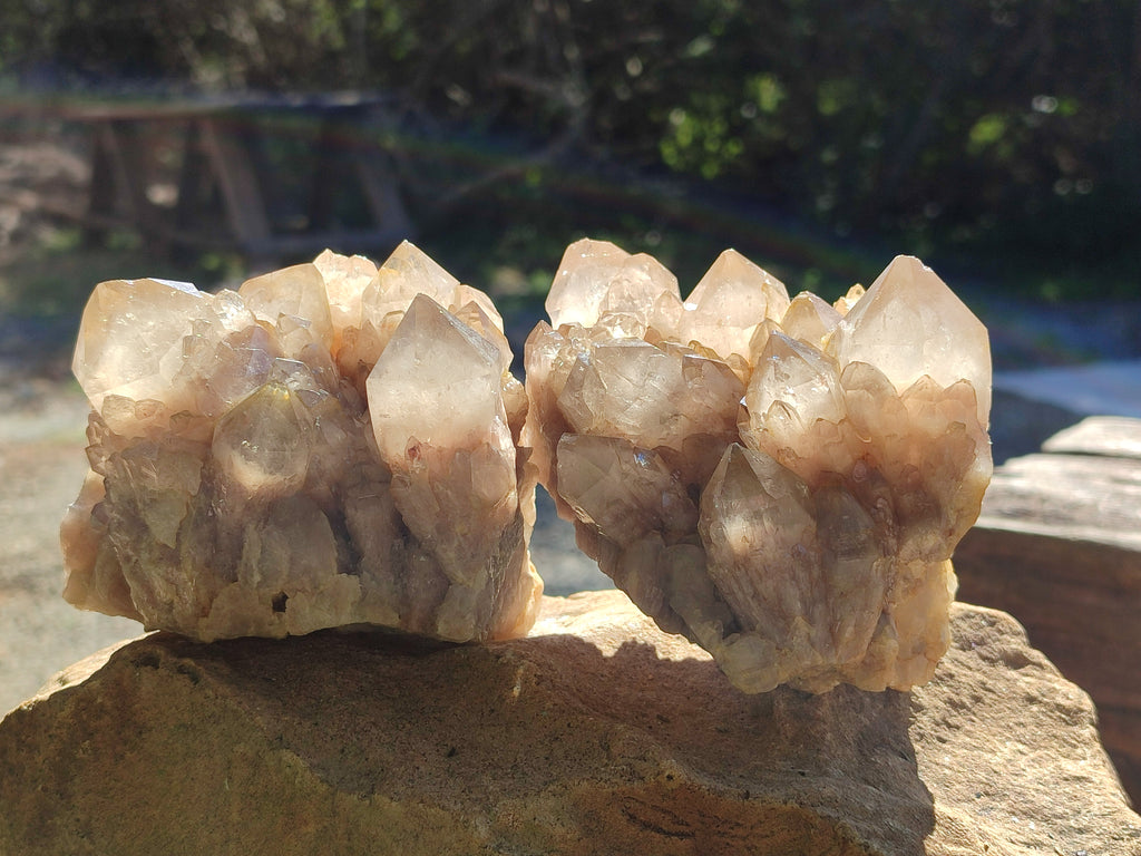 Natural White Phantom Cascading Quartz Clusters x 2 From Luena, Congo - Toprock Gemstones and Minerals 