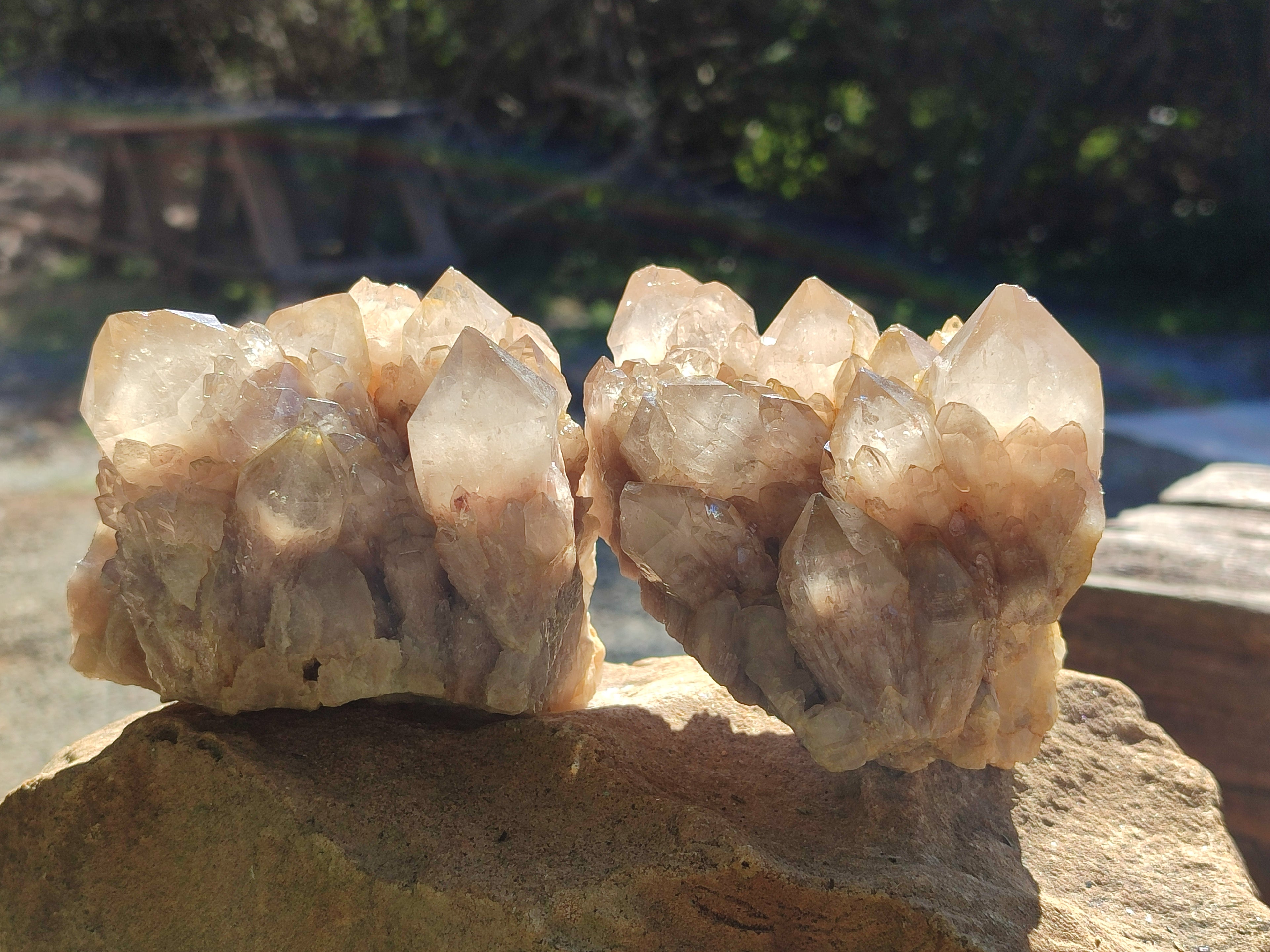 Natural White Phantom Cascading Quartz Clusters x 2 From Luena, Congo - Toprock Gemstones and Minerals 