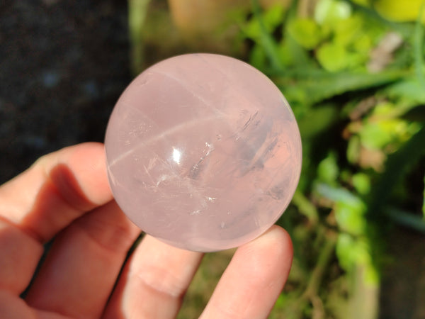 Polished AA Grade Star Rose Quartz Spheres x 8 From Ambatondrazaka, Madagascar