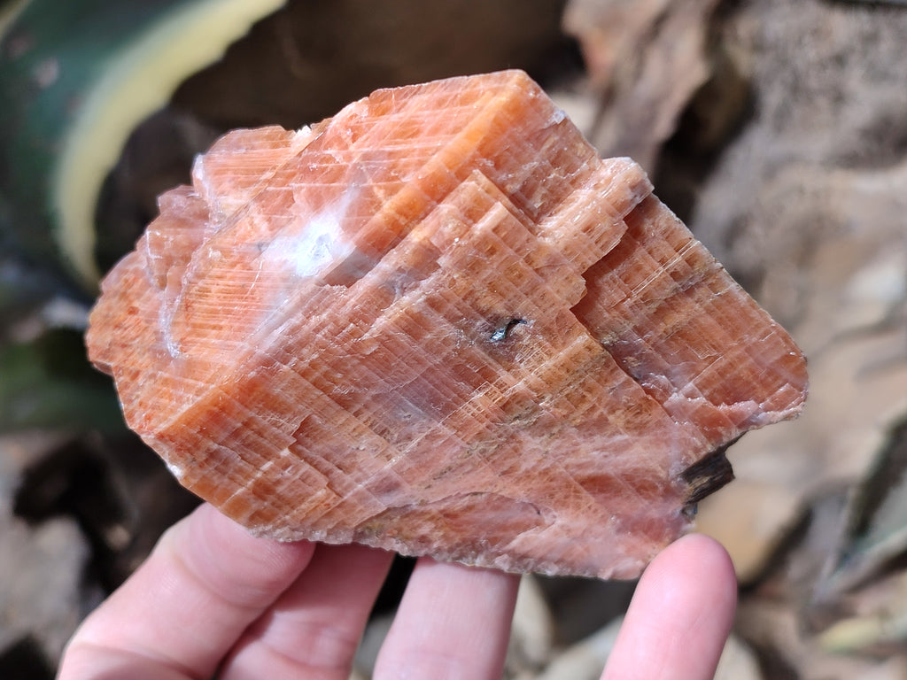Natural Rhombohedral Sunset Orange Calcite Specimens x 6 From Spitzkop, Namibia - Toprock Gemstones and Minerals 