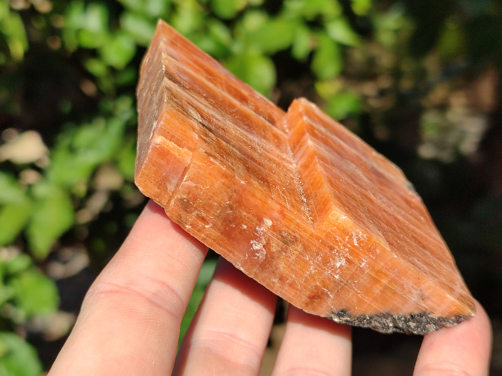 Natural Rhombohedral Sunset Orange Calcite Specimens x 6 From Spitzkop, Namibia - Toprock Gemstones and Minerals 