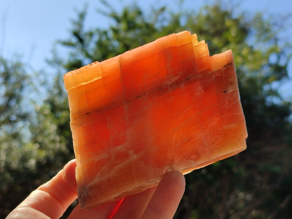 Natural Rhombohedral Sunset Orange Calcite Specimens x 6 From Spitzkop, Namibia - Toprock Gemstones and Minerals 