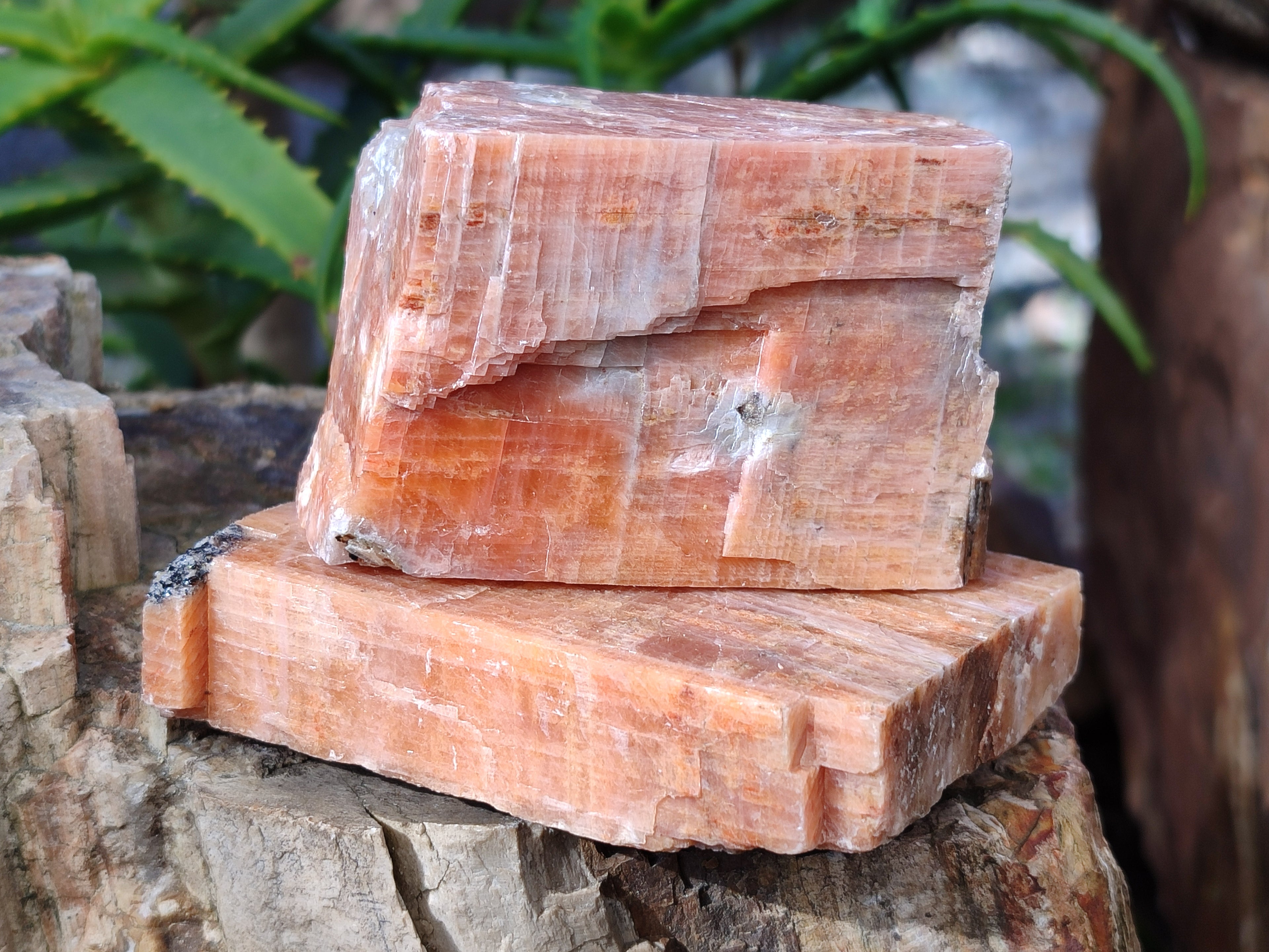 Natural Rhombohedral Sunset Orange Calcite Specimens x 6 From Spitzkop, Namibia - Toprock Gemstones and Minerals 