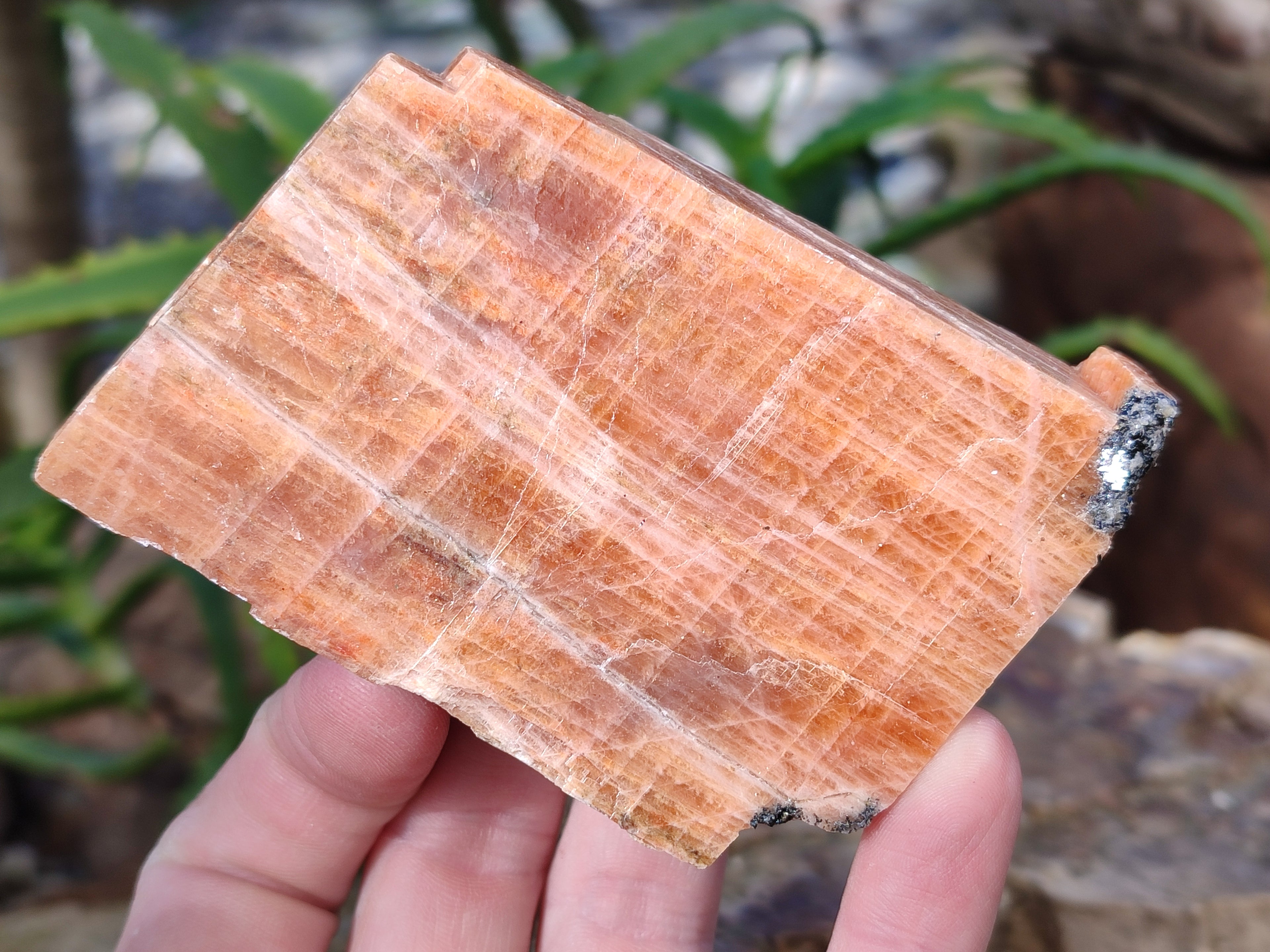 Natural Rhombohedral Sunset Orange Calcite Specimens x 6 From Spitzkop, Namibia - Toprock Gemstones and Minerals 