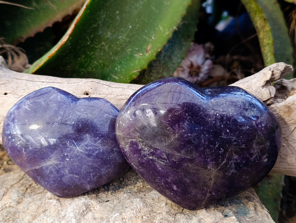 Polished Lepidolite with Pink Rubellite Hearts x 5 From Ambatondrazaka, Madagascar - Toprock Gemstones and Minerals 