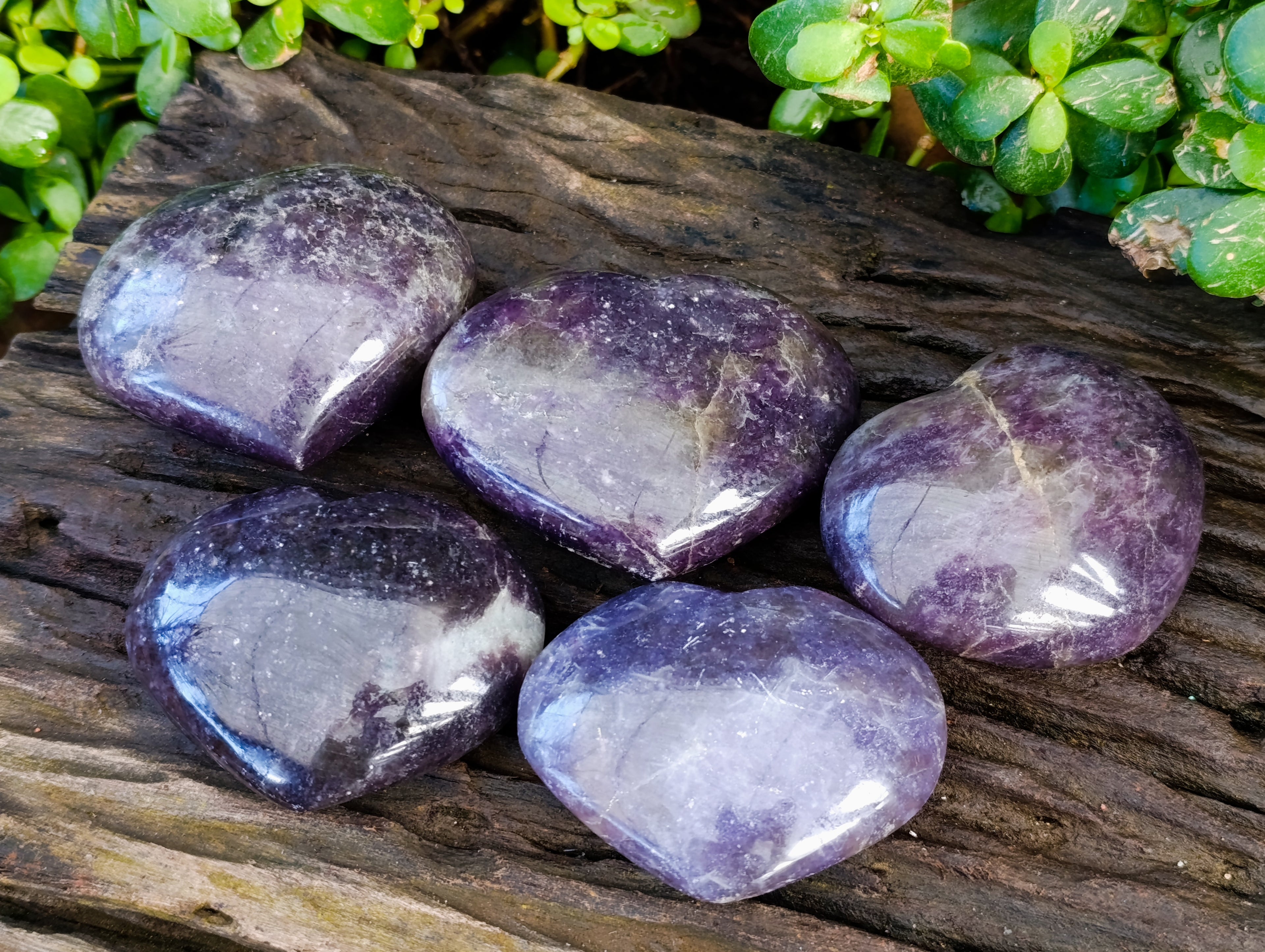 Polished Lepidolite with Pink Rubellite Hearts x 5 From Ambatondrazaka, Madagascar - Toprock Gemstones and Minerals 