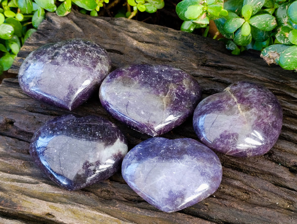 Polished Lepidolite with Pink Rubellite Hearts x 5 From Ambatondrazaka, Madagascar