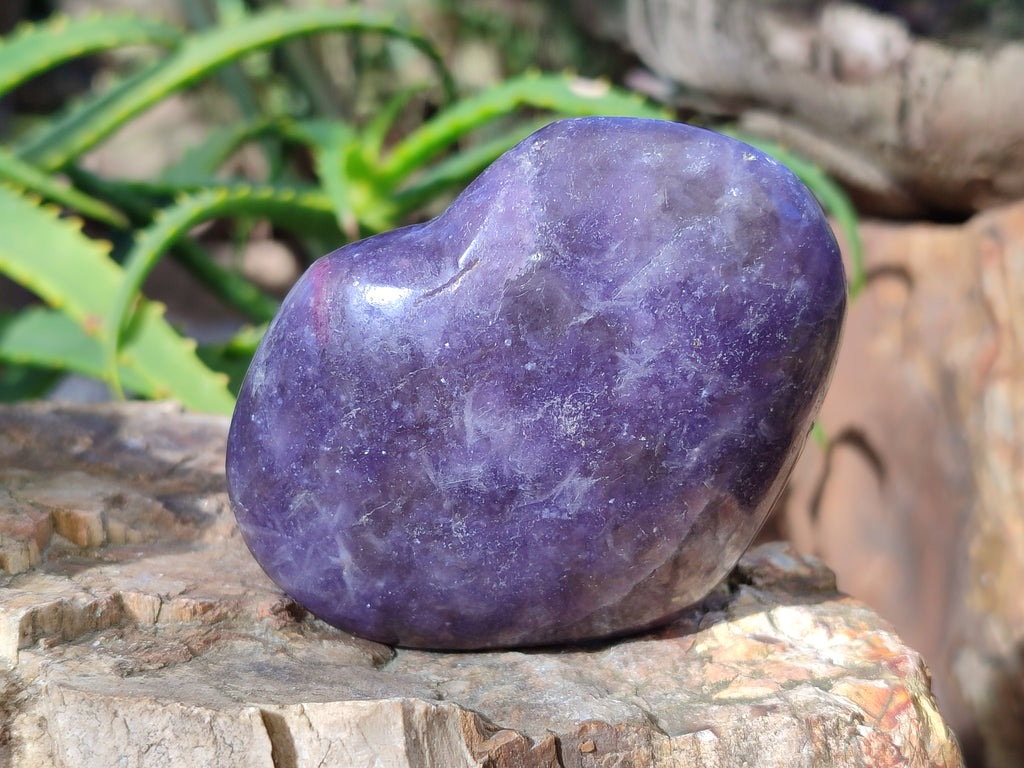Polished Lepidolite with Pink Rubellite Hearts x 5 From Ambatondrazaka, Madagascar - Toprock Gemstones and Minerals 