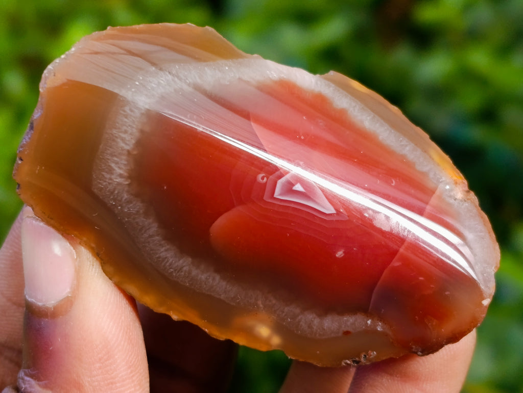 Polished On One Side Red Sashe River Agate Nodules x 20 From Zimbabwe - Toprock Gemstones and Minerals 