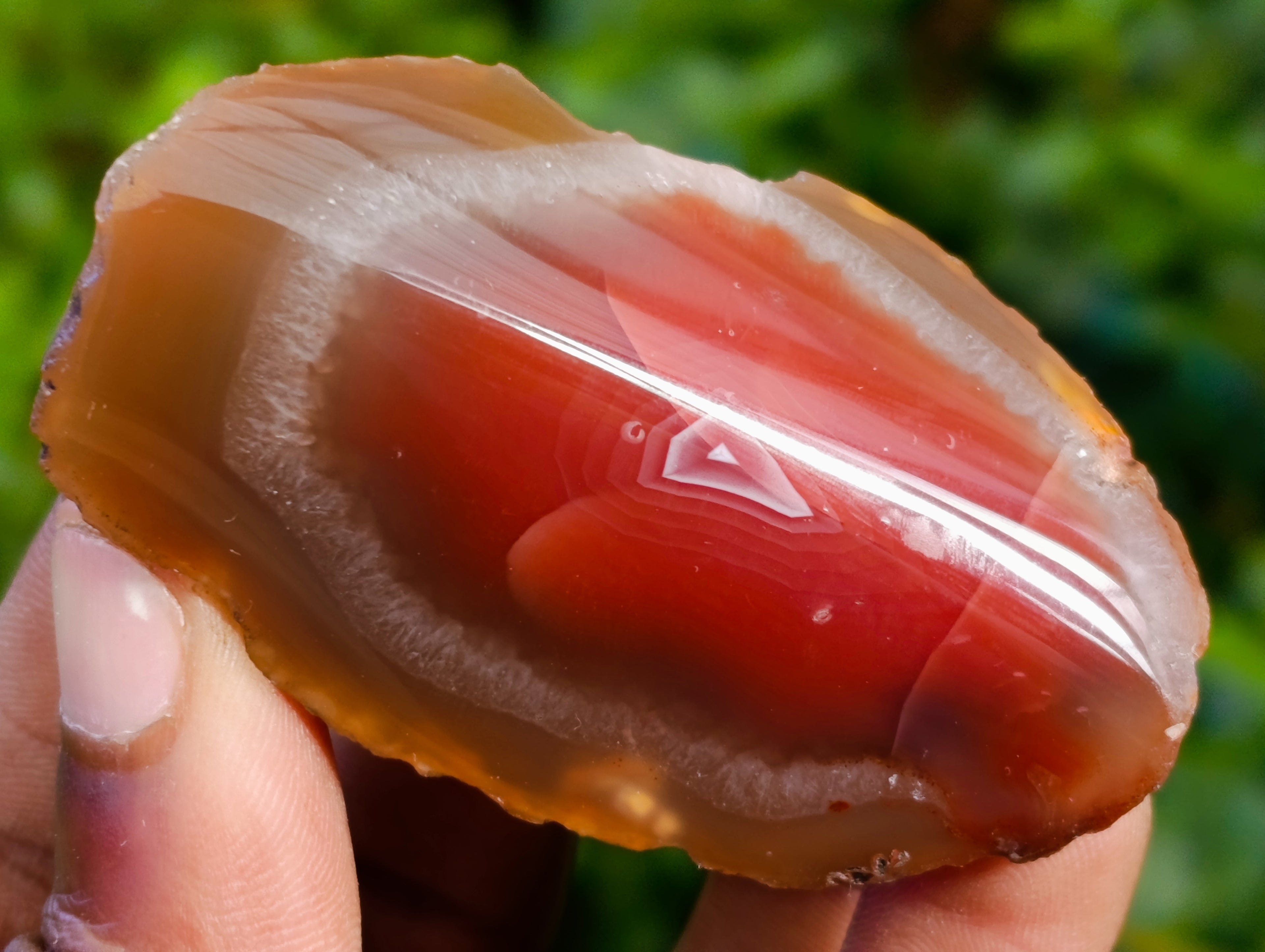 Polished On One Side Red Sashe River Agate Nodules x 20 From Zimbabwe - Toprock Gemstones and Minerals 