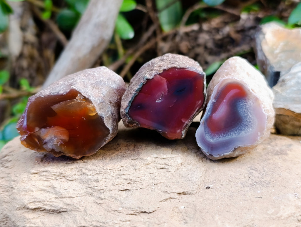 Polished On One Side Red Sashe River Agate Nodules x 20 From Zimbabwe - Toprock Gemstones and Minerals 