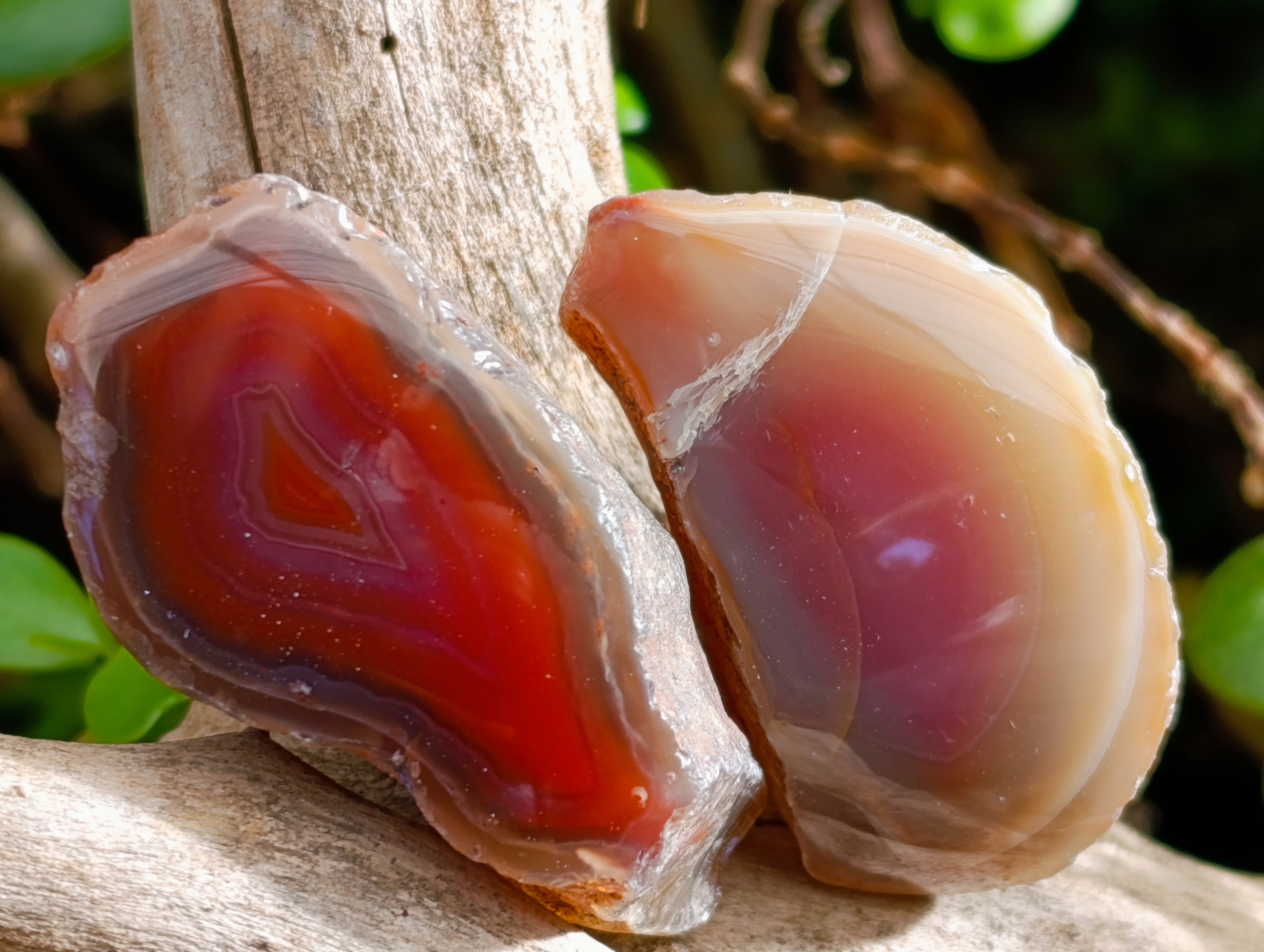 Polished On One Side Red Sashe River Agate Nodules x 20 From Zimbabwe - Toprock Gemstones and Minerals 