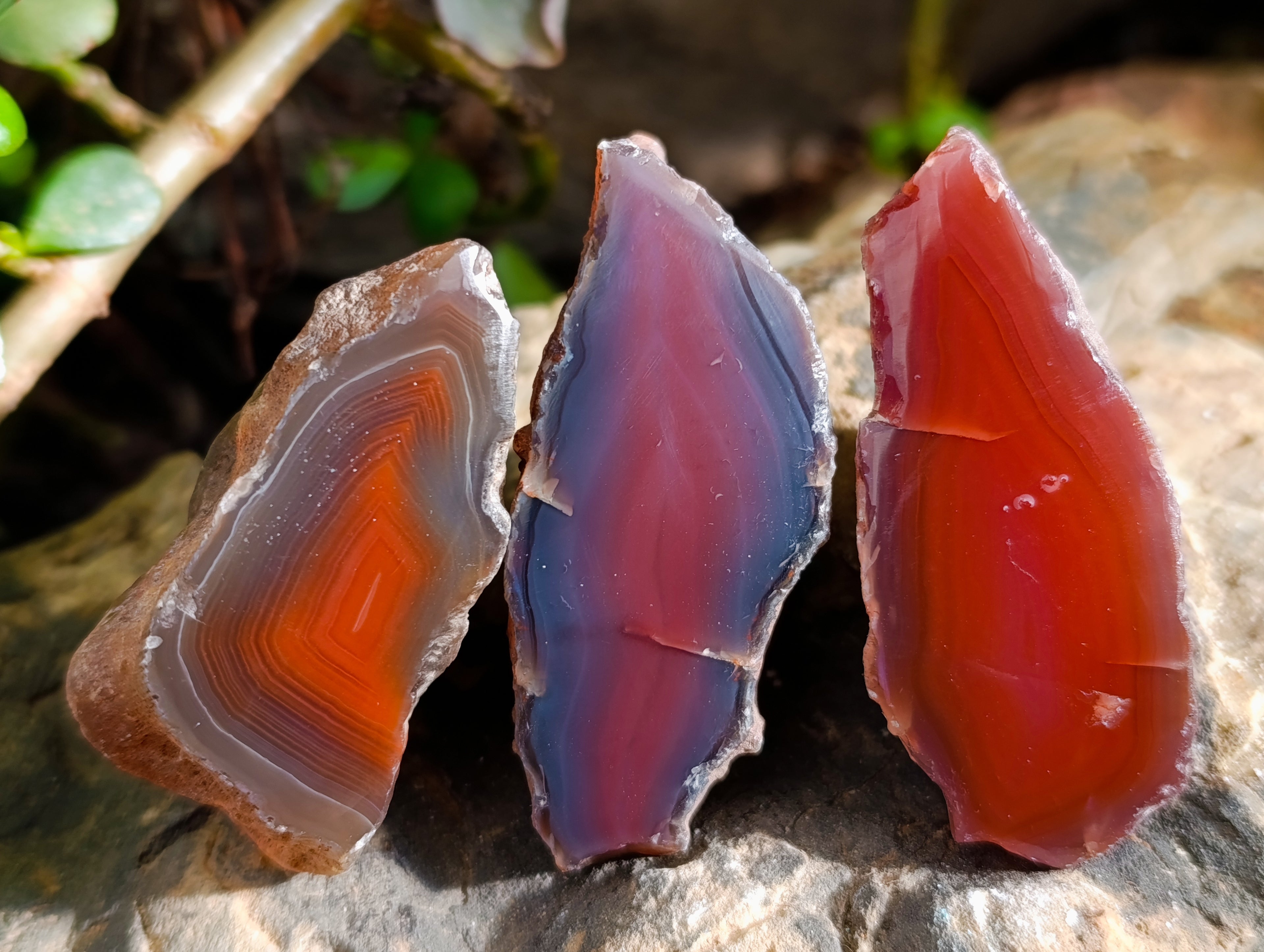 Polished On One Side Red Sashe River Agate Nodules x 20 From Zimbabwe - Toprock Gemstones and Minerals 