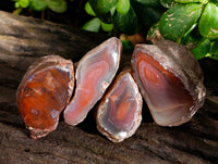 Polished On One Side Red Sashe River Agate Nodules x 20 From Zimbabwe - Toprock Gemstones and Minerals 