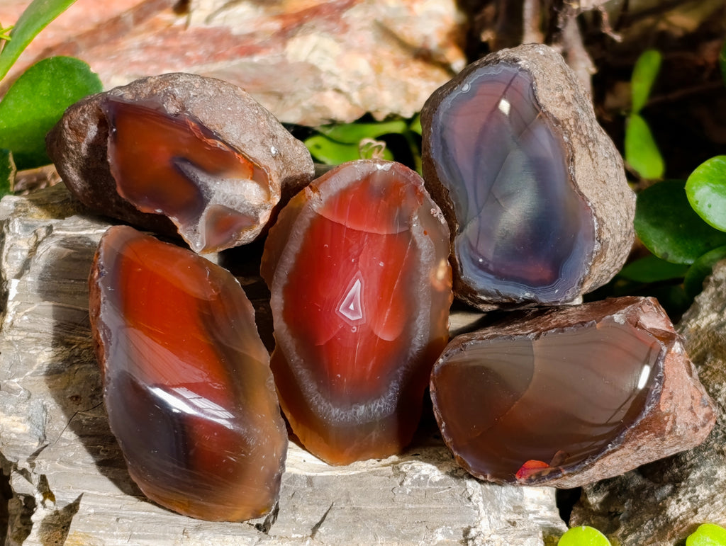 Polished On One Side Red Sashe River Agate Nodules x 20 From Zimbabwe - Toprock Gemstones and Minerals 