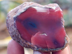 Polished On One Side Red Sashe River Agate Nodules x 20 From Zimbabwe - Toprock Gemstones and Minerals 