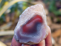 Polished On One Side Red Sashe River Agate Nodules x 20 From Zimbabwe - Toprock Gemstones and Minerals 