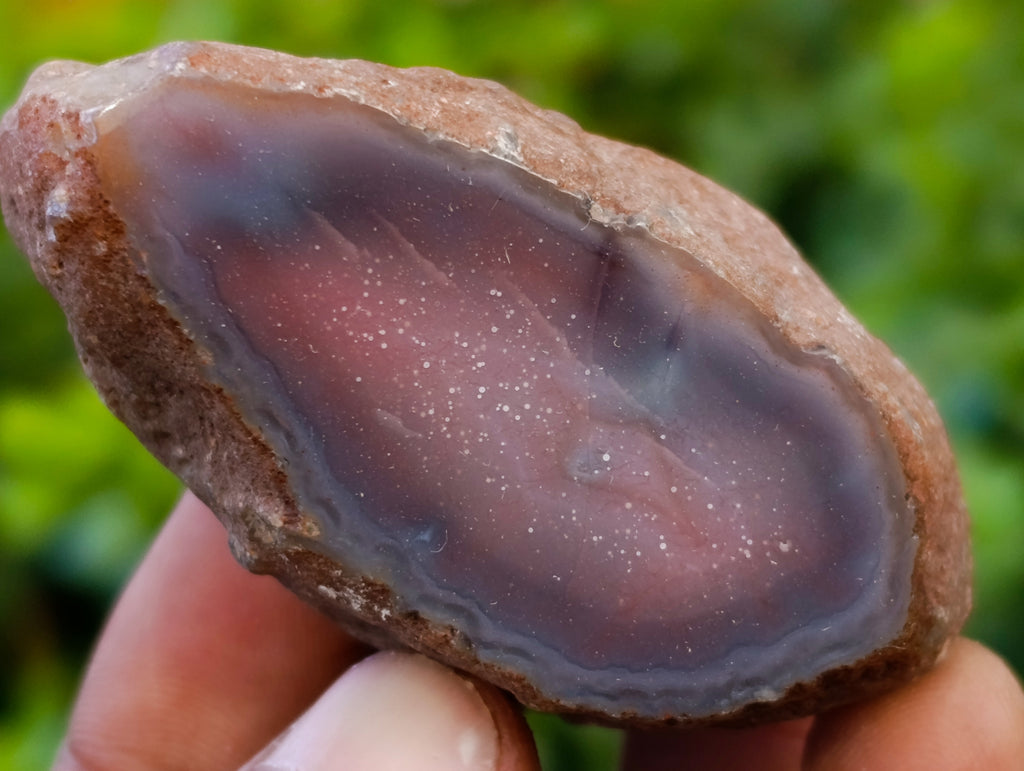 Polished On One Side Red Sashe River Agate Nodules x 20 From Zimbabwe - Toprock Gemstones and Minerals 
