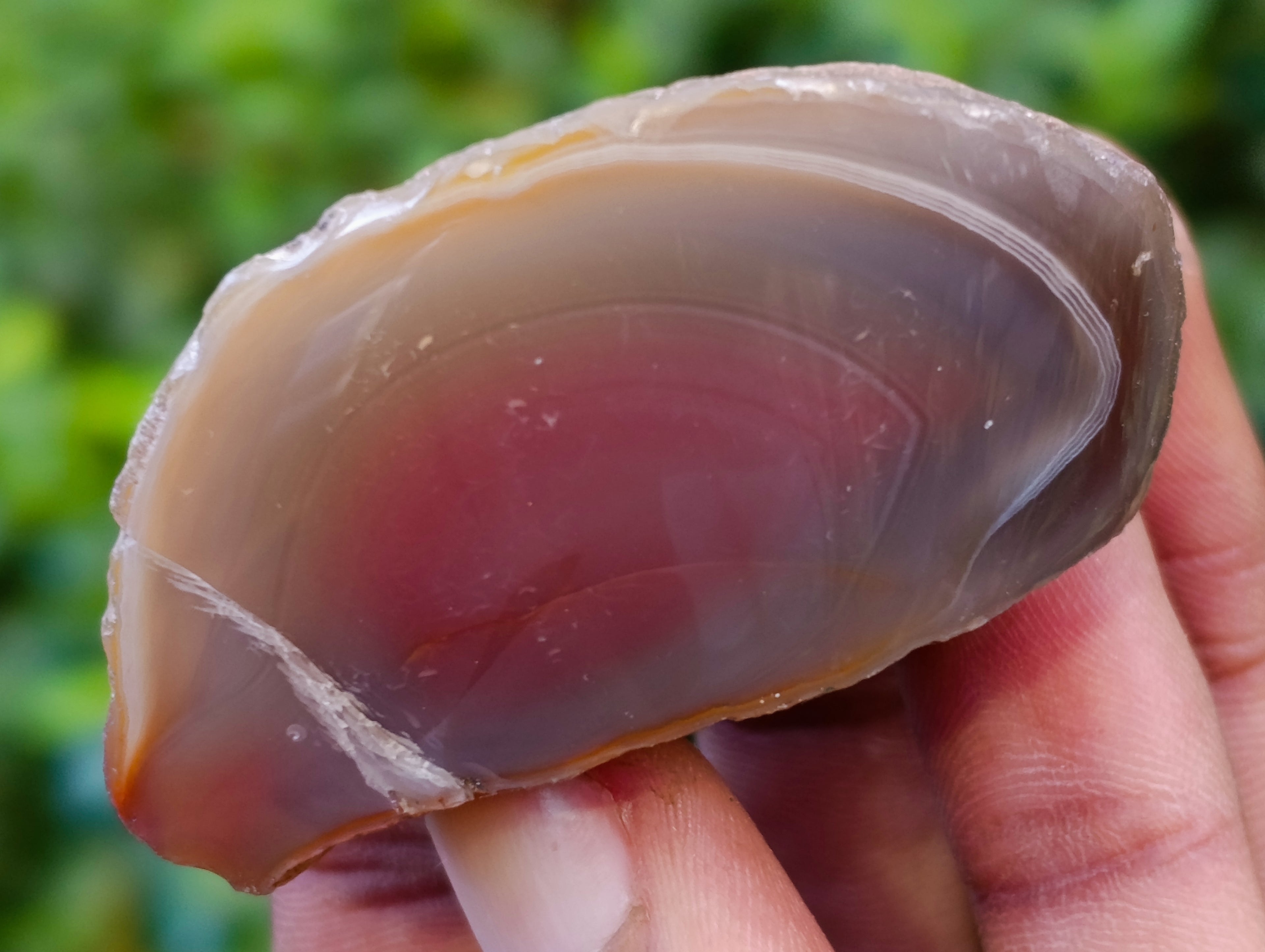 Polished On One Side Red Sashe River Agate Nodules x 20 From Zimbabwe - Toprock Gemstones and Minerals 
