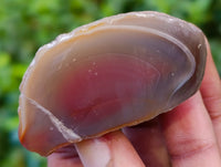 Polished On One Side Red Sashe River Agate Nodules x 20 From Zimbabwe - Toprock Gemstones and Minerals 