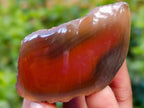 Polished On One Side Red Sashe River Agate Nodules x 20 From Zimbabwe - Toprock Gemstones and Minerals 