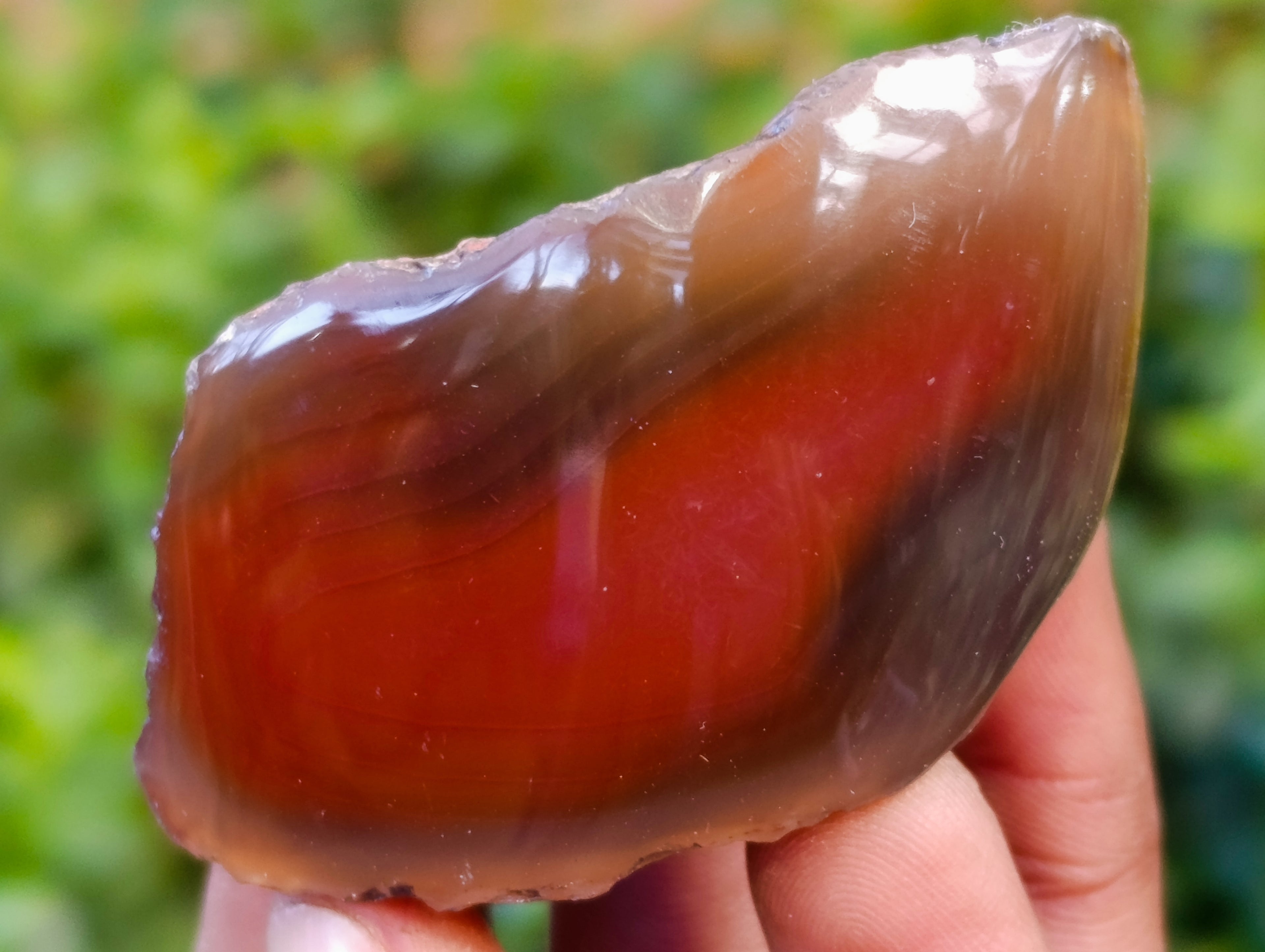Polished On One Side Red Sashe River Agate Nodules x 20 From Zimbabwe - Toprock Gemstones and Minerals 