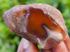 Polished On One Side Red Sashe River Agate Nodules x 20 From Zimbabwe - Toprock Gemstones and Minerals 