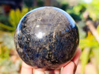 Polished Iolite Spheres x 2 From Ambatofinandrahana, Madagascar - Toprock Gemstones and Minerals 