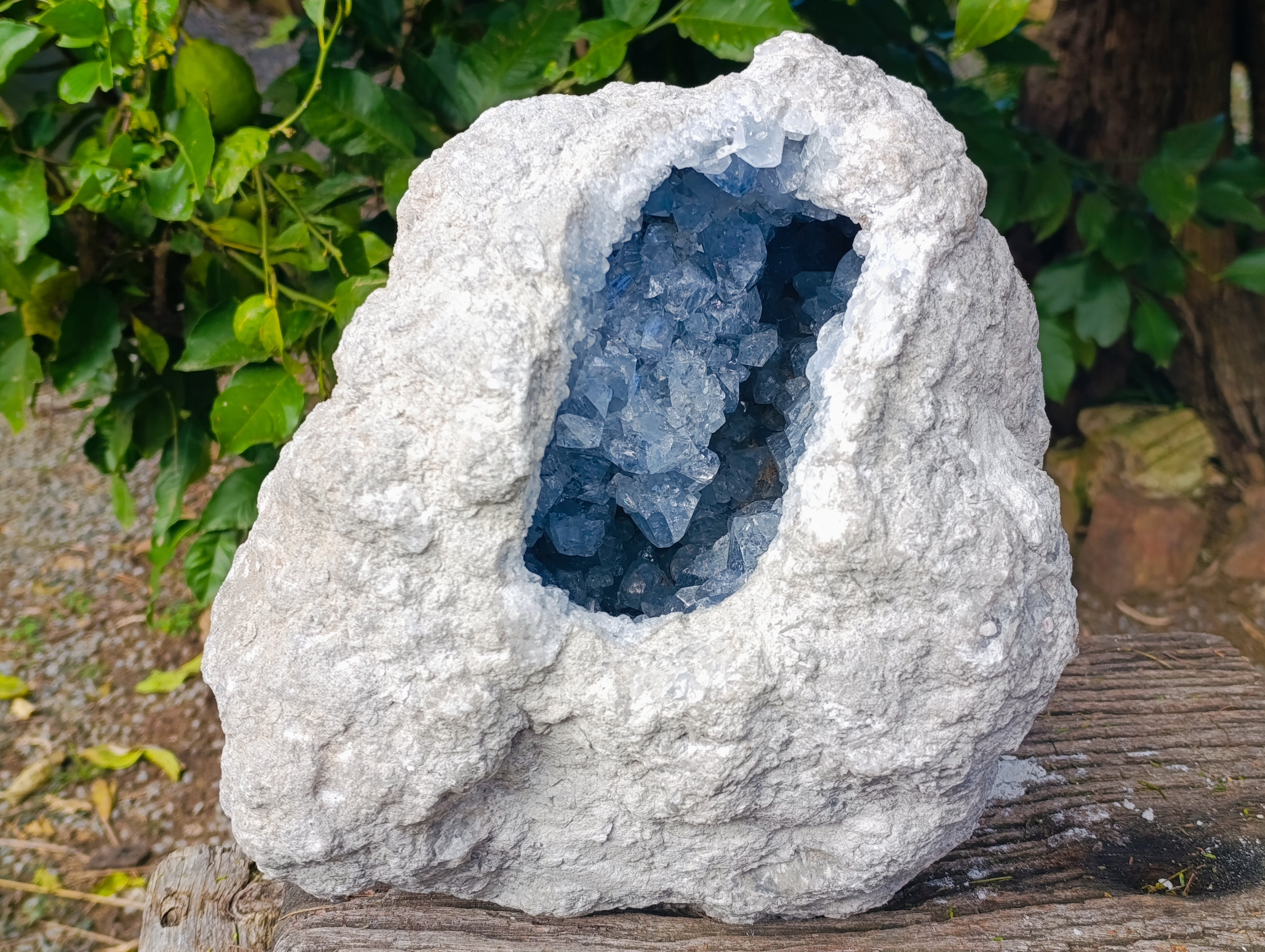 Natural Extra Large A Grade Celestite Geode Specimen x 1 From Sakoany, Madagascar - Toprock Gemstones and Minerals 