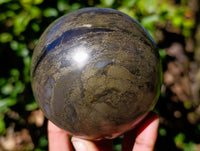 Polished Rare Pharaoh Stone Pyrite in Basalt Sphere x 1 From Iron Duke Mine, Zimbabwe - Toprock Gemstones and Minerals 