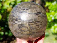 Polished Rare Pharaoh Stone Pyrite in Basalt Sphere x 1 From Iron Duke Mine, Zimbabwe - Toprock Gemstones and Minerals 