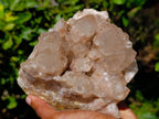 Natural Phantom Cascading Smokey Quartz Cluster x 1 From Luena, Congo - Toprock Gemstones and Minerals 
