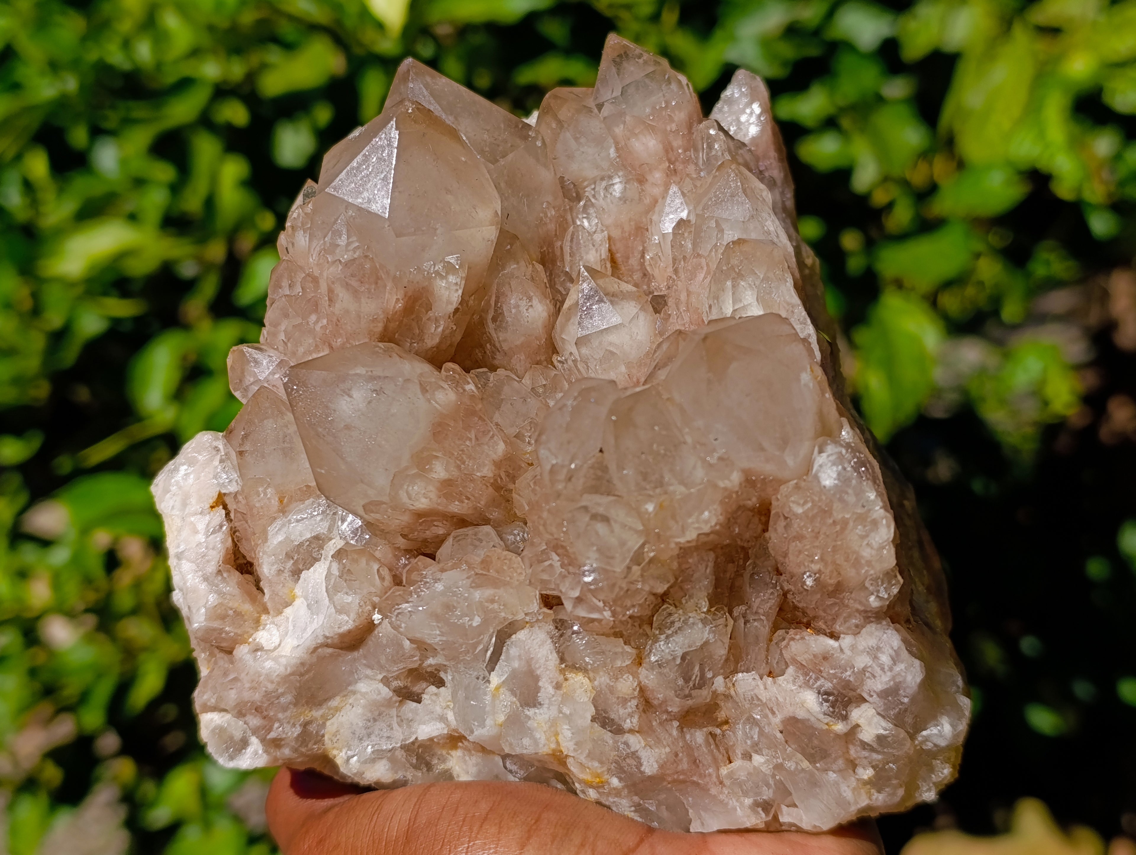 Natural Phantom Cascading Smokey Quartz Cluster x 1 From Luena, Congo - Toprock Gemstones and Minerals 