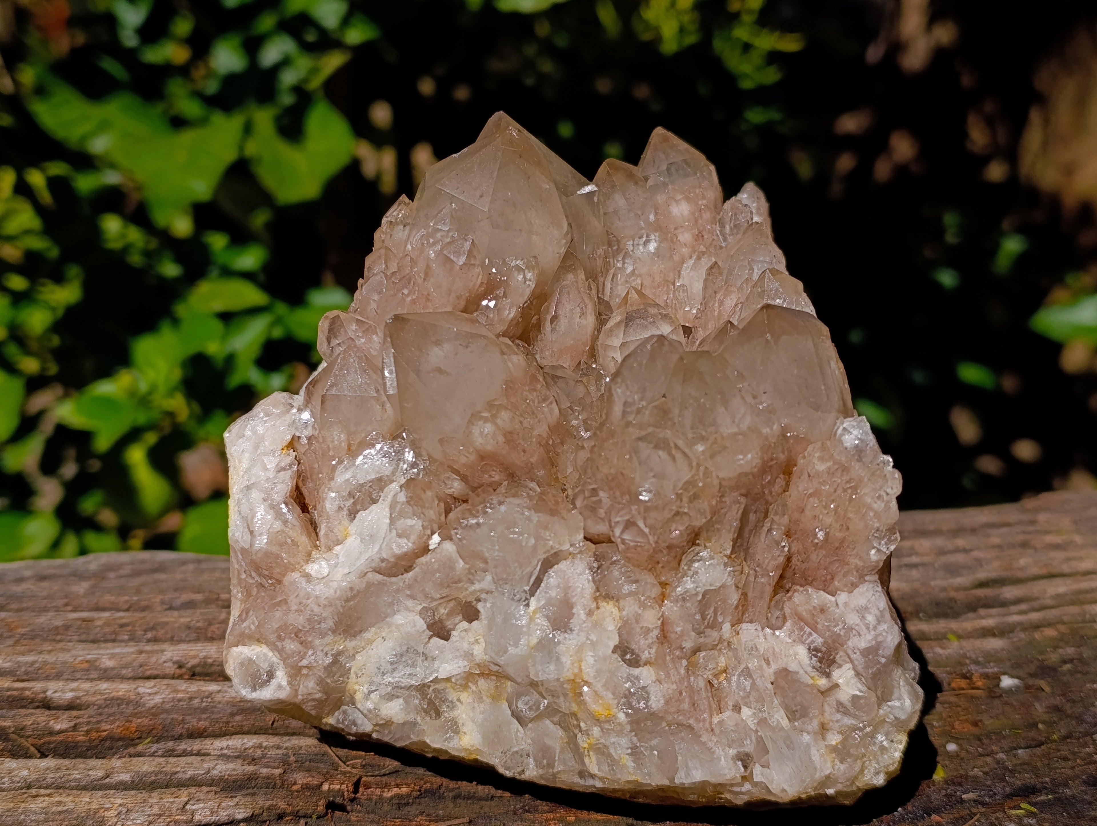 Natural Phantom Cascading Smokey Quartz Cluster x 1 From Luena, Congo - Toprock Gemstones and Minerals 