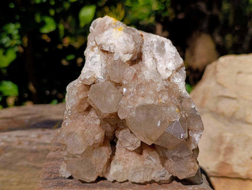 Natural Phantom Cascading Smokey Quartz Cluster x 1 From Luena, Congo - Toprock Gemstones and Minerals 