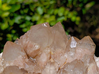 Natural Phantom Cascading Smokey Quartz Cluster x 1 From Luena, Congo - Toprock Gemstones and Minerals 