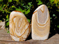 Polished Picture Stone Jasper Standing Free Forms x 2 From Ais-Ais, Namibia - Toprock Gemstones and Minerals 