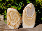 Polished Picture Stone Jasper Standing Free Forms x 2 From Ais-Ais, Namibia - Toprock Gemstones and Minerals 