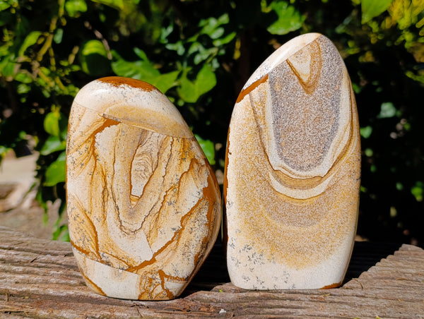 Polished Picture Stone Jasper Standing Free Forms x 2 From Ais-Ais, Namibia