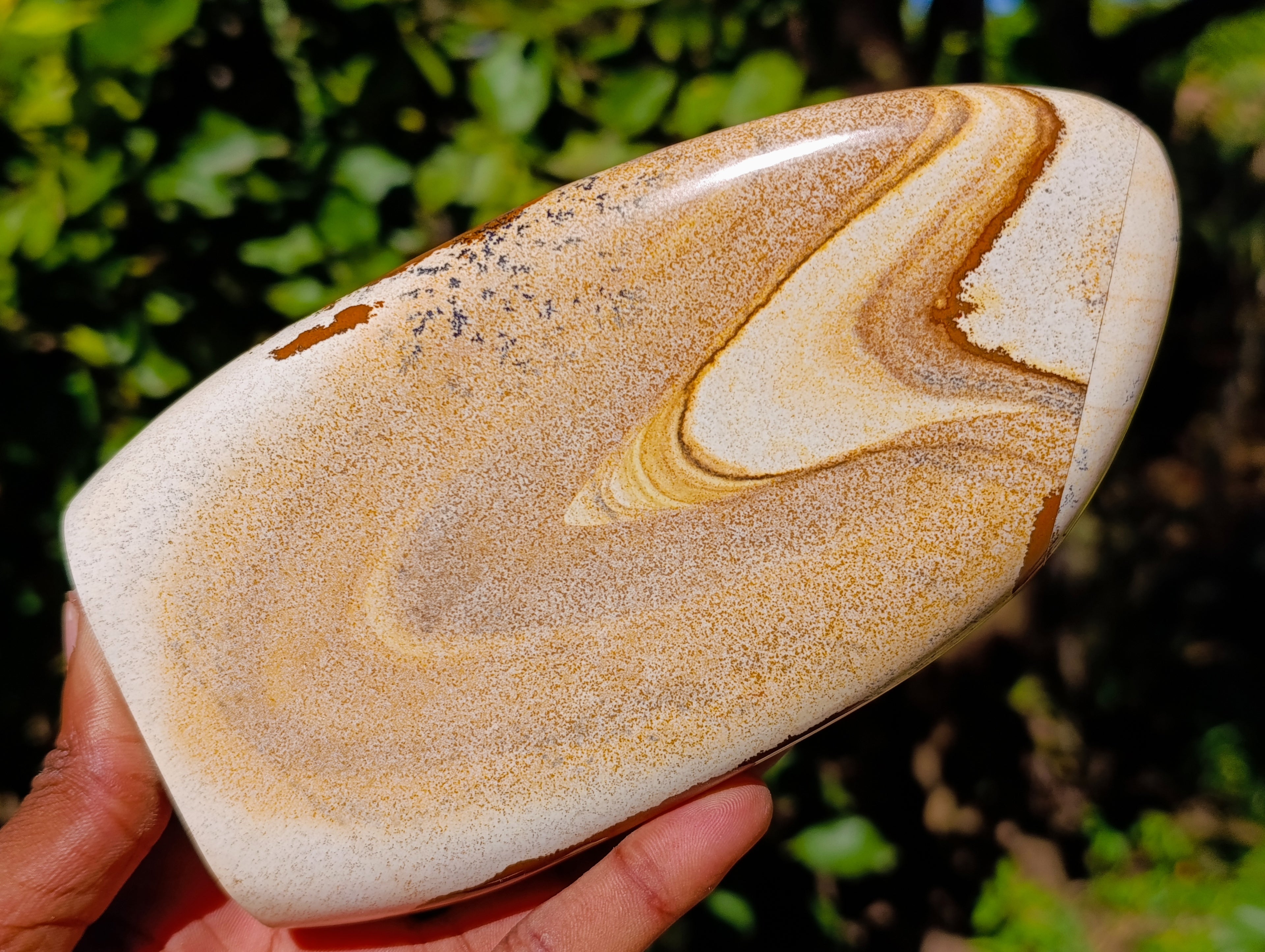 Polished Picture Stone Jasper Standing Free Forms x 2 From Ais-Ais, Namibia - Toprock Gemstones and Minerals 