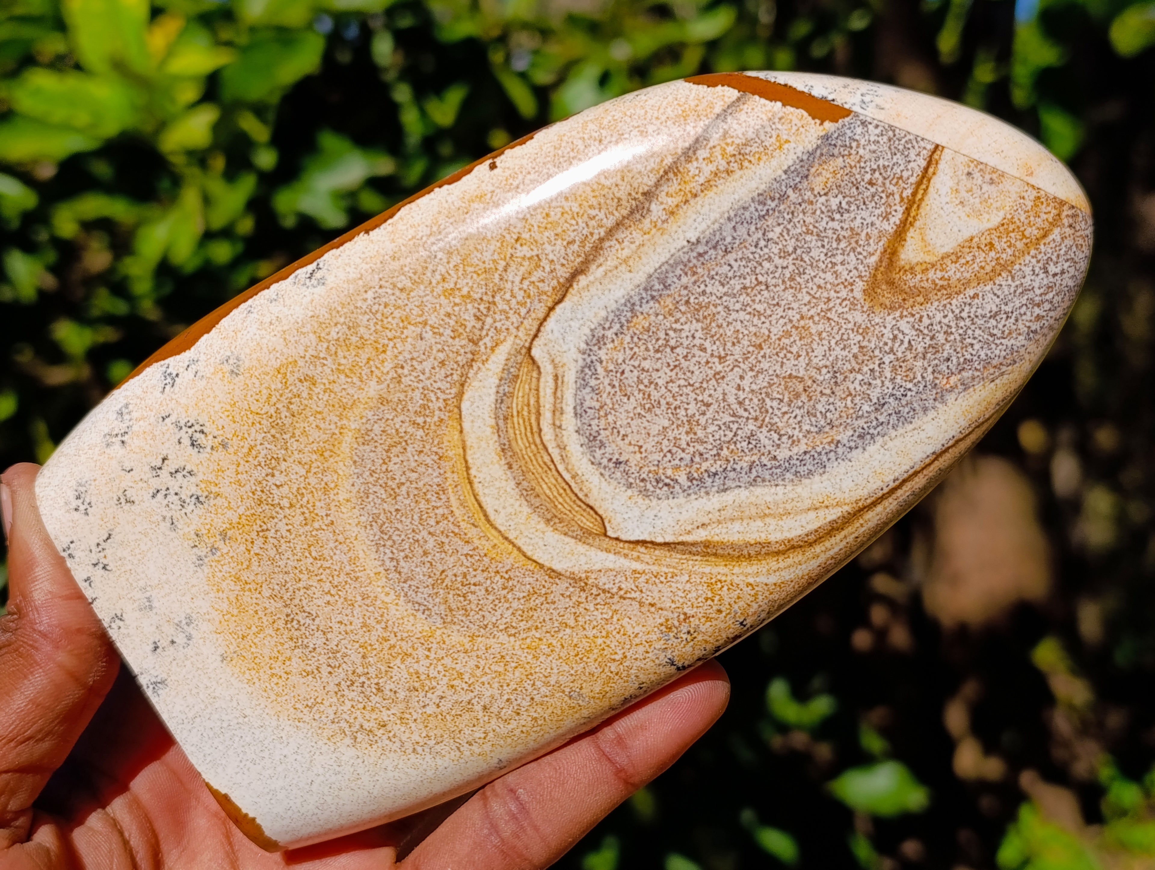 Polished Picture Stone Jasper Standing Free Forms x 2 From Ais-Ais, Namibia - Toprock Gemstones and Minerals 