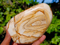Polished Picture Stone Jasper Standing Free Forms x 2 From Ais-Ais, Namibia - Toprock Gemstones and Minerals 