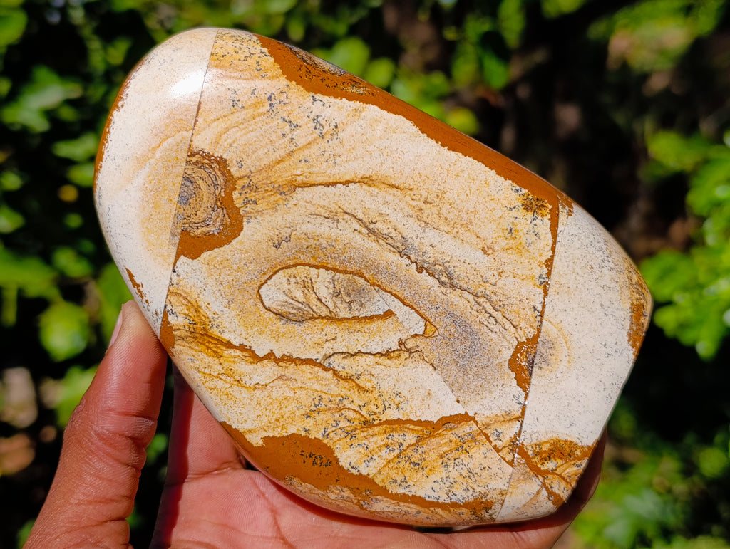 Polished Picture Stone Jasper Standing Free Forms x 2 From Ais-Ais, Namibia - Toprock Gemstones and Minerals 