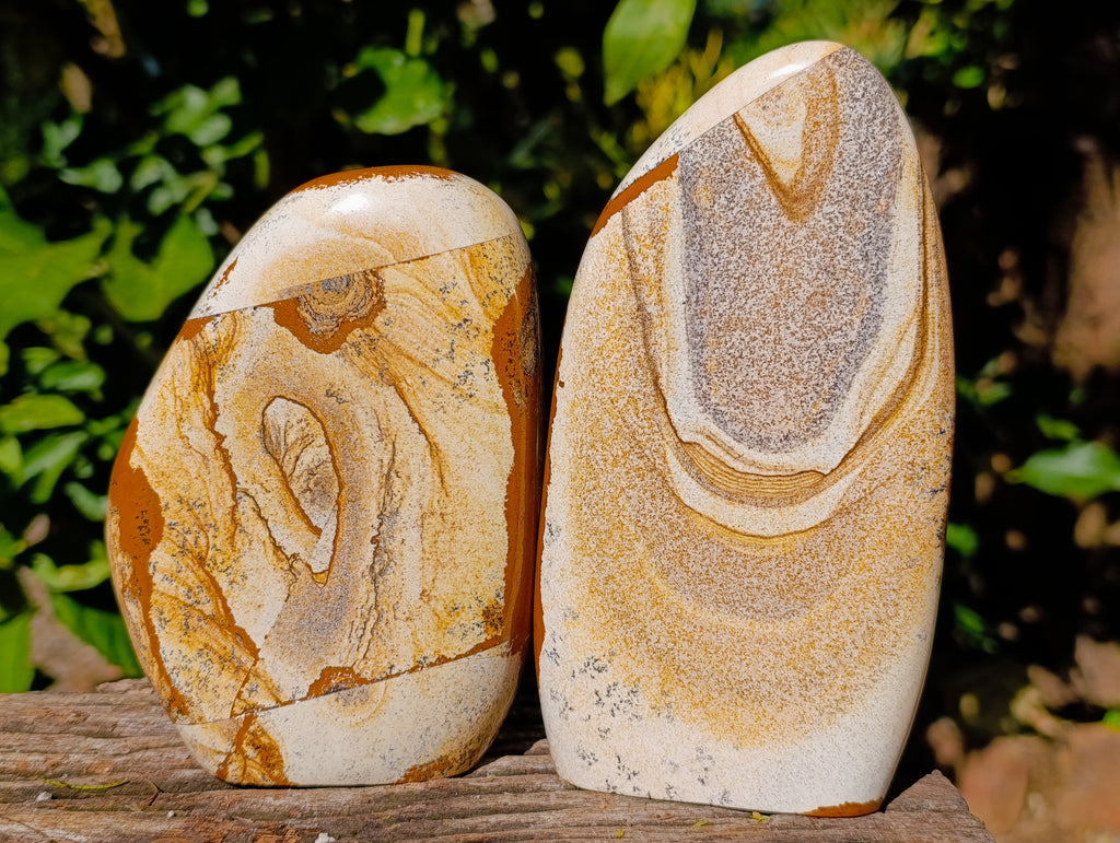 Polished Picture Stone Jasper Standing Free Forms x 2 From Ais-Ais, Namibia - Toprock Gemstones and Minerals 